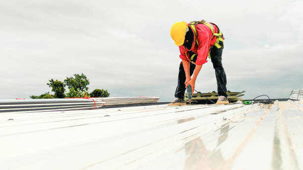Best Steel Roofing  in Fredericksburg, PA
