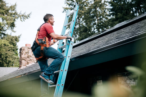 Best Skylight Installation and Repair  in Fredericksburg, PA